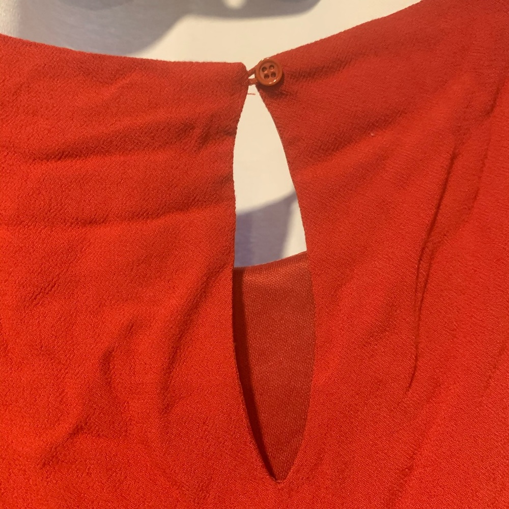 Plus Sized Ruffle Sleeved Rust Dress NWT - Picture 7 of 7
